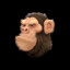Ape #12