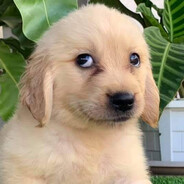 DDL - steam id 76561198865257201