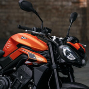 杨柳坝第一天棒