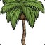 Palm