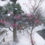 絶望