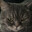 Filou