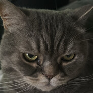 Filou
