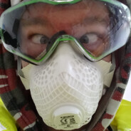 两只黄鹂炸鸡柳