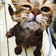 我给你口红你给我口红