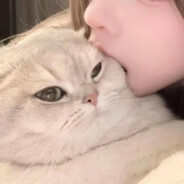 小常一心当个枪男