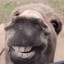 jimjazz