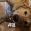 锡落~