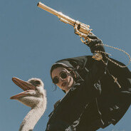 HAYK's avatar