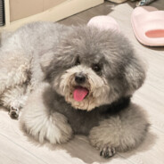 性感凯隐体内陪玩