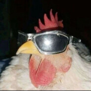 Little Chicken avatar
