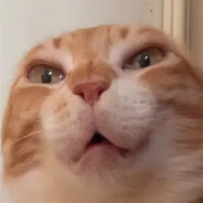 Котакбасина