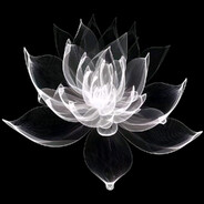 s3ns31