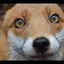 FOXIC