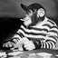 Monkey99_