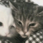 日本宇治抹茶麵包