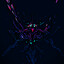 &lt;~{TOX}~&gt;