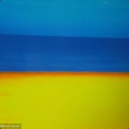 做动画的夏阳君