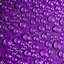 purpledropsrain