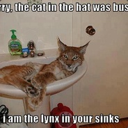 Lynxinyoursinks
