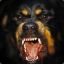 GUNNERDOG