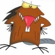 Angry-Beaver(UA)