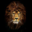 Andrey