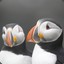 2puffins