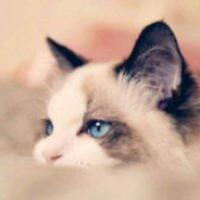 救命救命救命救命救命救命