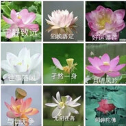 相亲相爱一家人