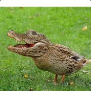 Darknss is a kind of bitch !