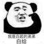 白給少年