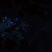 什么都不会，躺平了