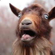 BaaaaH