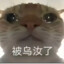 给我也整一个