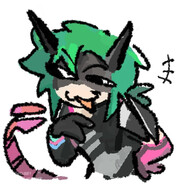 raccoon^p^