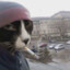 Slav cat