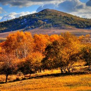 抽死你个大逼脸