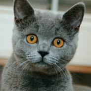 parker - steam id 76561199675050597