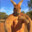 RogerTheKangaroo