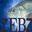 Zebz_Fish