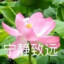 网恋裸聊被拍牛