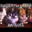 Пошов намур:3