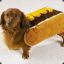 HoT_DoG