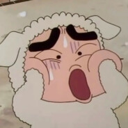 伯乐见了都说好马