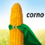 Corno