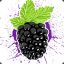 Blackberry.PC