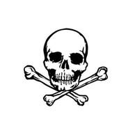 孙悟空 Lucky Monkey