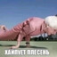 Джонни Додеп