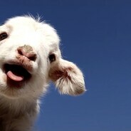 最后の全能系主播伝説U